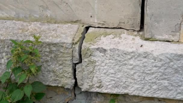 Fracture Concrete Wall Fissure Cracked Building Close Housing Destruction — Stock Video