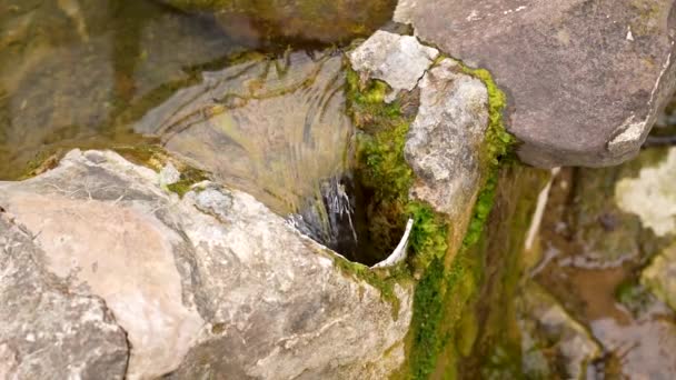 Draining Pure Spring Water Stone Natural Mossy Container Metal Downpipe — Stock Video