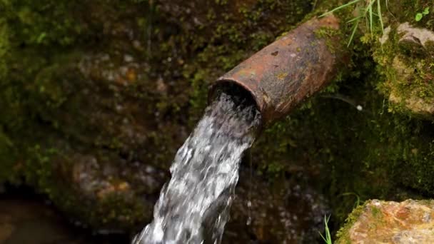 Dirty Toxic Sewage Flowing Pipe Mossy Stones Environmental Industrial Pollution — Vídeos de Stock