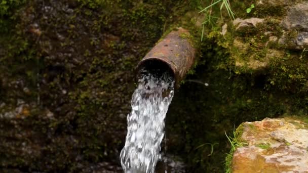 Waste Pipe Sewage Flowing Waste Water Wild Nature Waste Poisoning — Vídeos de Stock