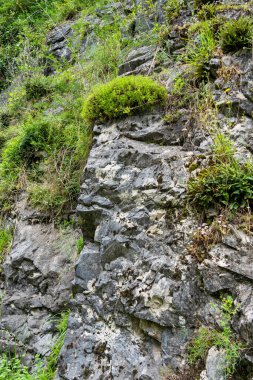Doğal olarak yıpranmış, çimenli sert kayalar. Ayrıntılı görünüm