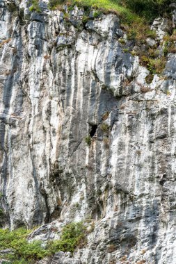İspanya 'nın vahşi doğasındaki dağ uçurumu. Yeşil çimenli kaya ve bitki örtüsü