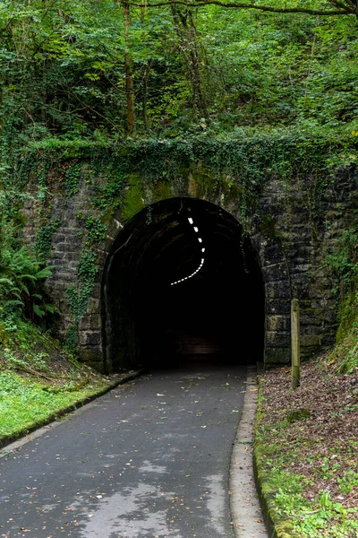 Abandoned spooky dark stone tunnel in the forest with a road and light lamps. Fairytale Halloween view