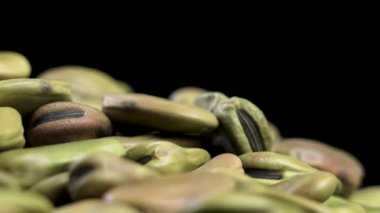Siyah üzerine kuru fasulye. Vicia faba. Makro. Döndürme