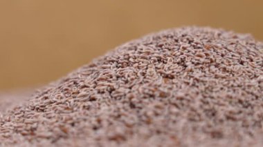 Psyllium Seeds or Ayurveda Autentico Isabgol Close up. Rotation