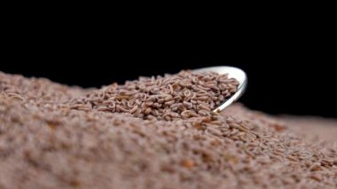 Psyllium Seeds or Ayurveda Autentico Isabgol on black with spoon. Rotation
