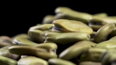 Siyah üzerine Fava fasulyesi. Vicia faba. Çiğ baklagiller ailesi. Makro. Döndürme