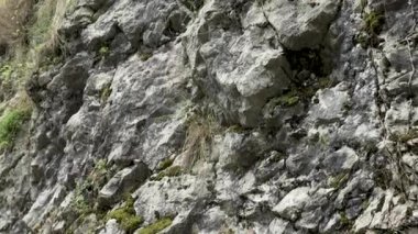 İspanya 'nın vahşi doğasındaki dağ uçurumu. Yeşil çimenli kaya ve bitki örtüsü