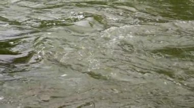 Bir dağ nehrinin suyu yavaş çekimde dalgalar oluşturur. Yakın plan.