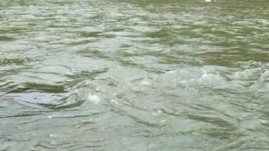 Bir dağ nehrinin suyu yavaş çekimde dalgalar oluşturur. Yakın plan.