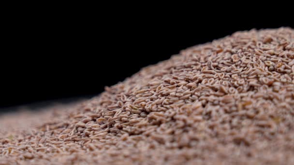 Natural Supplement Psyllium Seeds Black Background Macro Rotation — ストック動画