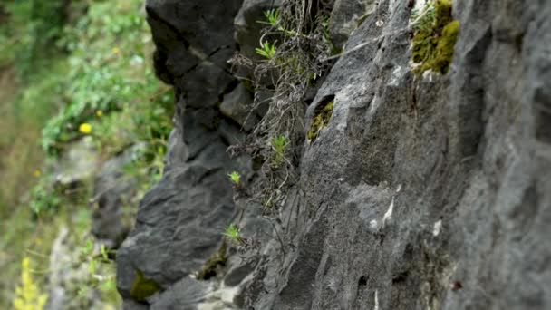 Strašidelný Tmavý Drsný Povrch Skály Mokrá Prehistorická Jeskyně Kamenná Zeď — Stock video
