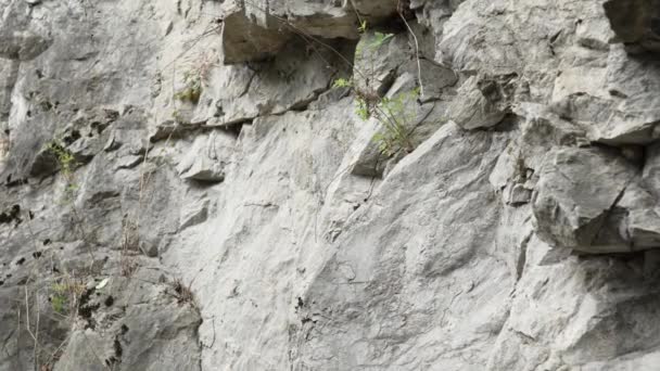 Grey Cliff Texture Rough Mountain Surface Close — Stockvideo