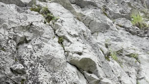 Mountain Cliff Wild Nature Rock Green Grass Vegetation — ストック動画