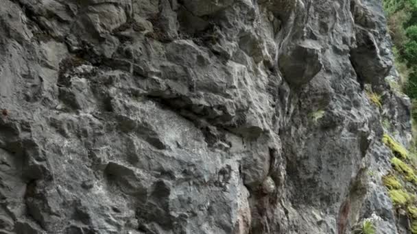 Surface Rocheuse Rugueuse Sombre Effrayante Grotte Préhistorique Humide Pierre Mur — Video