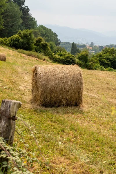 Roll Harvested Hay Rural Mountain Pasture Bale Dry Straw Farm — Photo