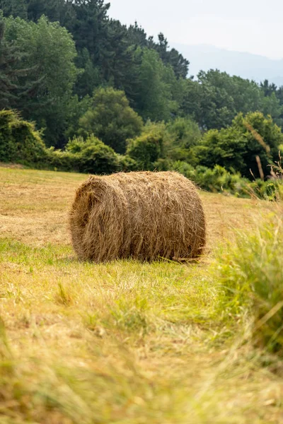 Kerek Szénabála Egy Vidéki Hegyi Legelőn Egy Tekercs Száraz Szalma — Stock Fotó