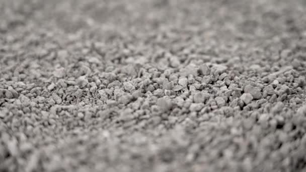 Cat Tray Filler Made Bentonite Falling Particles Gray Pet Litter — Vídeos de Stock