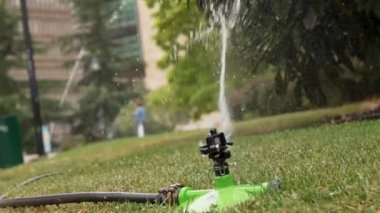 Otomatik sulama fıskiyesi suyu yeşil çimenlere ve ağaçlara yavaş çekimde püskürtür. Plastik hortum. Sokak parkının çimlerini sulama. Bulanık şehirliler. Alternatif kamera hareketleri