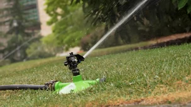 Automatic Watering Sprinkler Sprays Jets Water Green Grass Trees Slow — Stock video