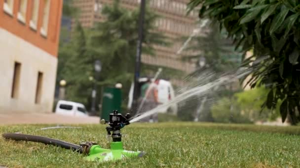 Automatic Watering Sprays Water Green Grass Bushes Garden Trees Slow — Stockvideo