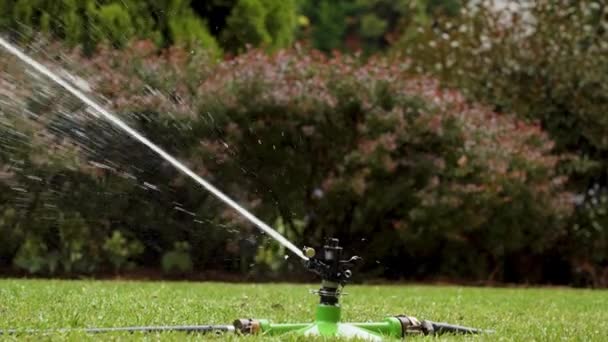 Automatic Watering Sprinkler Sprays Jets Water Green Grass Bushes Slow — Stock video
