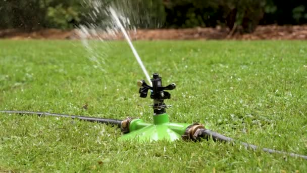 Automatic Irrigation System Street Park Lawn Sprinkling Water Watering Green — Stock video