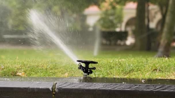 Automatic Watering Sprinkler Sprays Jets Water Green Grass Slow Motion — Stock videók