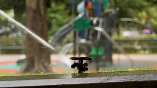 Automatic Watering Sprinkler Sprays Water Green Grass Lawn Backdrop Urban — 图库视频影像