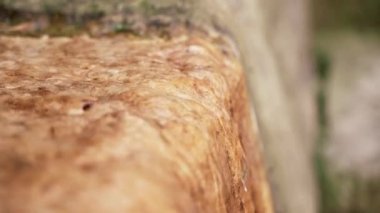 Close-up of water falling over sandstone stone. Source of pure water in slow motion. Beauty of nature concept