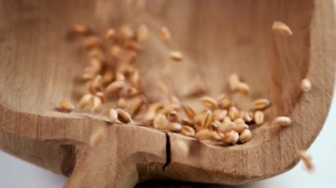 Grains of Ukrainian wheat falling into an old cracked wooden bowl in slow motion close-up. Concept of hunger due to food supply crisis