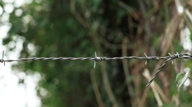 Barbed wire fence with steel sharp spikes on a eco farm close-up