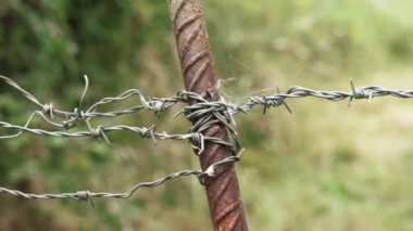 Barbed wire fence with barbs in a farm pasture. Rusty iron post close up