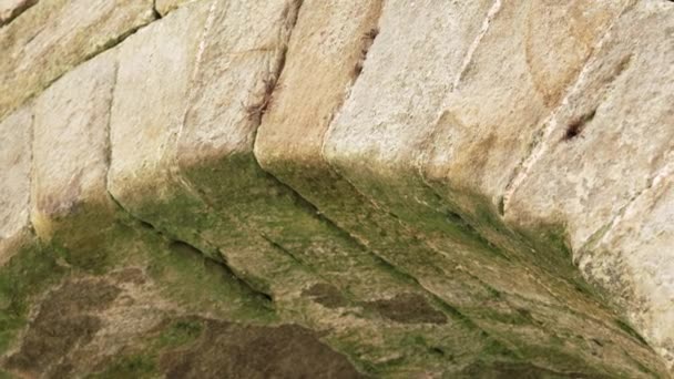 Ancient Antique Stone Arch Green Rotting Lichen Close Medieval European — Stockvideo