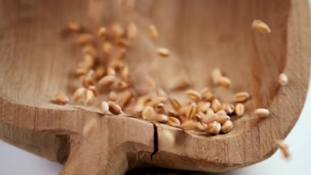 Grains Ukrainian Wheat Falling Old Cracked Wooden Bowl Slow Motion — Vídeo de Stock