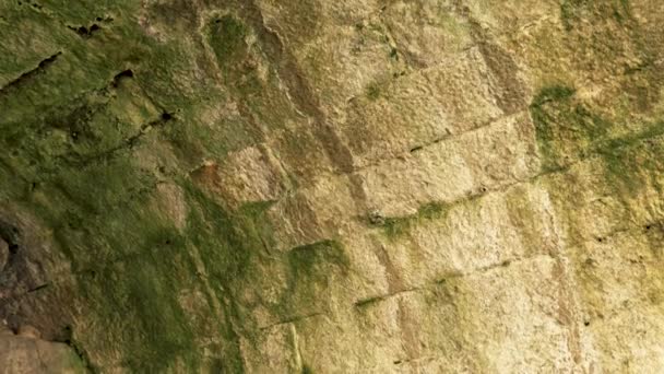 Dinding Melengkung Lama Rusak Oleh Pembusukan Dengan Jamur Hijau Dan — Stok Video
