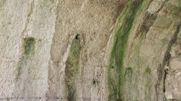 Arched Old Wall Damaged Rotting Green Fungus Mold Closeup — Video