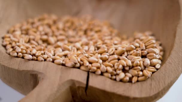 Whole Raw Wheat Grains Falling Pile Cracked Rustic Wooden Bowl — 图库视频影像