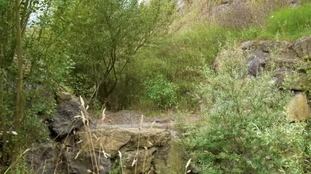 Broken Abandoned Overgrown Drainage Stone Canal Environmental Problems Concept — Vídeo de Stock