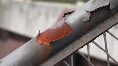 Peeled rust of corroded iron staircase handrail with cracked metal surface close up