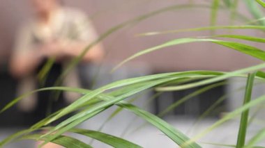 A crowd of people walking on the street sidewalk. Unfocused unrecognizable city pedestrians in blur through the green foliage of a palm plant. View from eco cafe. Lifestyle concept