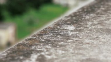 Rotten unhygienic grey grunge concrete wall texture with fungus. Old window sill in damp