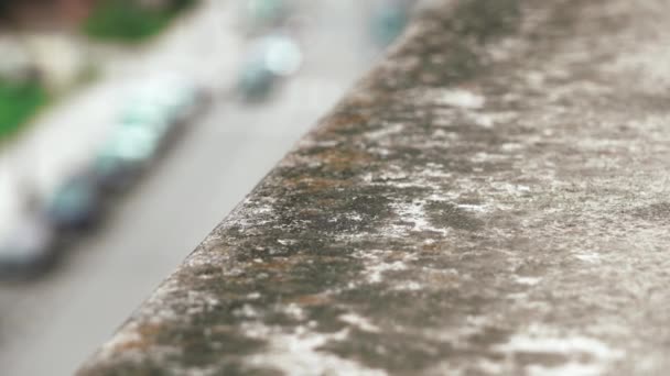 Weathered Rotting Concrete Window Sill Mold Close Due Humid Climate — Vídeo de stock