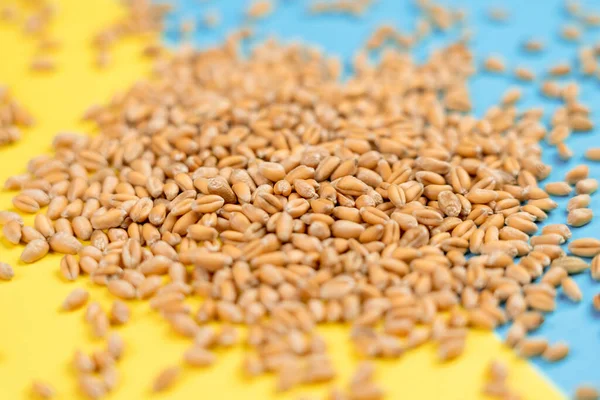Wheat Grains Ukrainian Yellow Blue Flag Concept Dangerous Crop Supplies — Foto de Stock