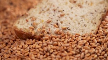 Wheat grains on a fresh baked slice of cereal bread. Falling seeds in slow motion. Close-up. Rustic healthy food and farm harvest concept