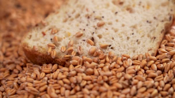 Wheat Grains Fresh Baked Slice Cereal Bread Falling Seeds Slow — Stockvideo