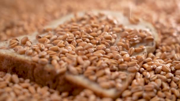 Slice Fresh Bread Pile Harvested Wheat Seeds Close Falling Grains — Vídeo de Stock