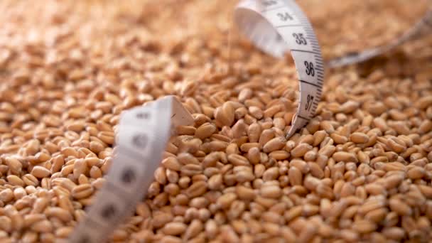 Measuring Tape Pile Whole Raw Wheat Seeds Falling Grains Slow — Stockvideo