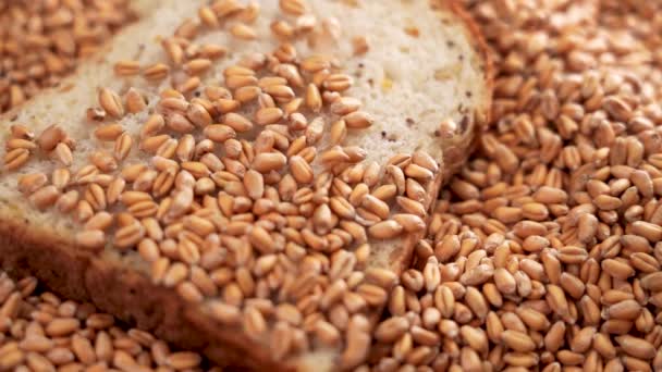 Μια Φέτα Φρέσκο Ψωμί Ένα Σωρό Από Σπόρους Σιταριού Κοντά — Αρχείο Βίντεο