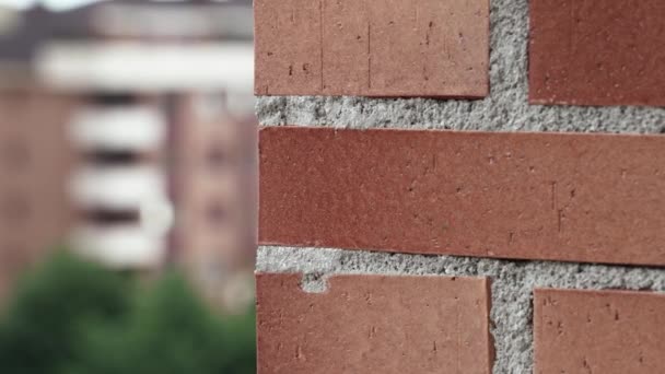 Rough Corner Brick Wall Building City Street Close — Stock videók